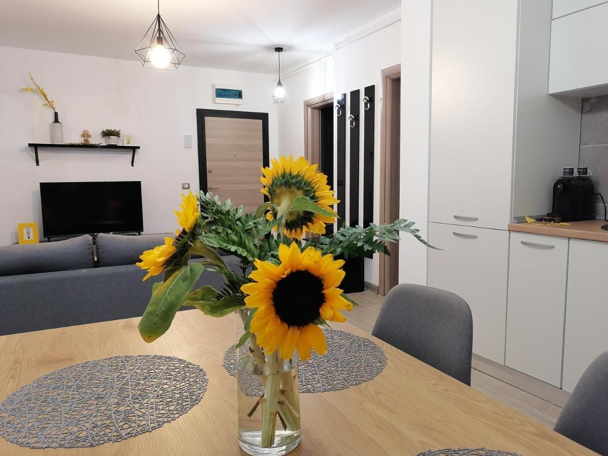 Năvodari Alesea Ap-Alezzi Beach Resort מראה חיצוני תמונה